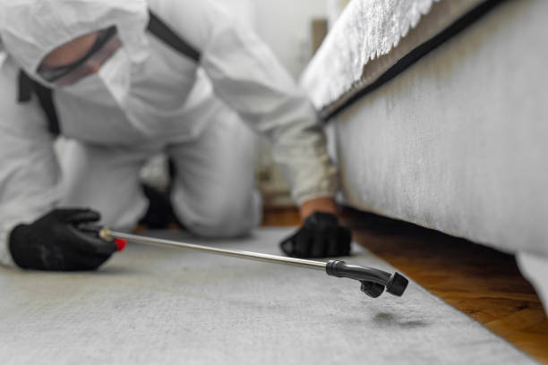 Professional Ant Control technician working in Monroe, NC