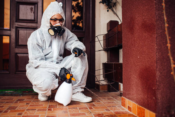 Reliable Ant Control contractor in Monroe, NC by Show Me Pest Control